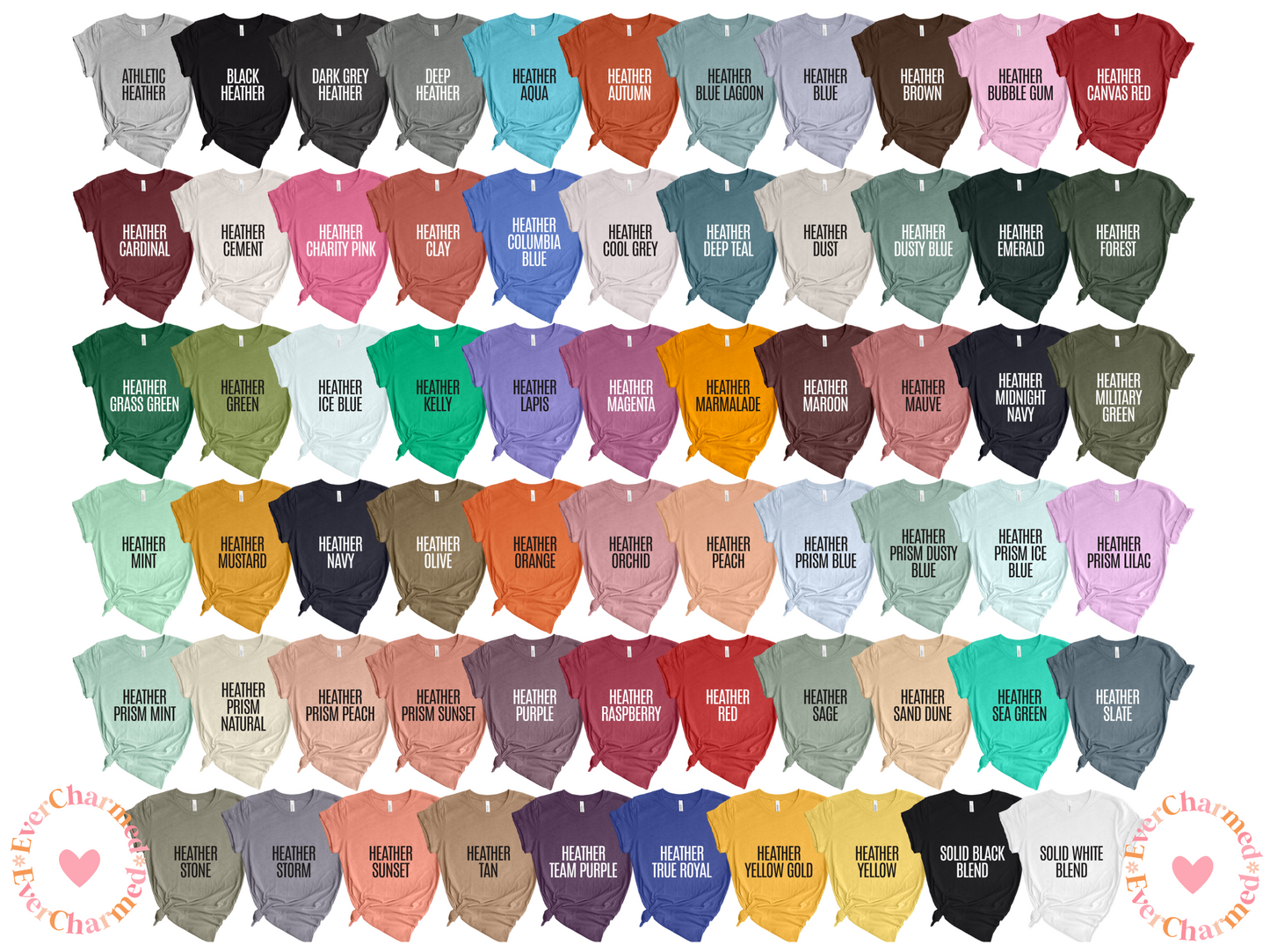 Women of the Bible Full Color
