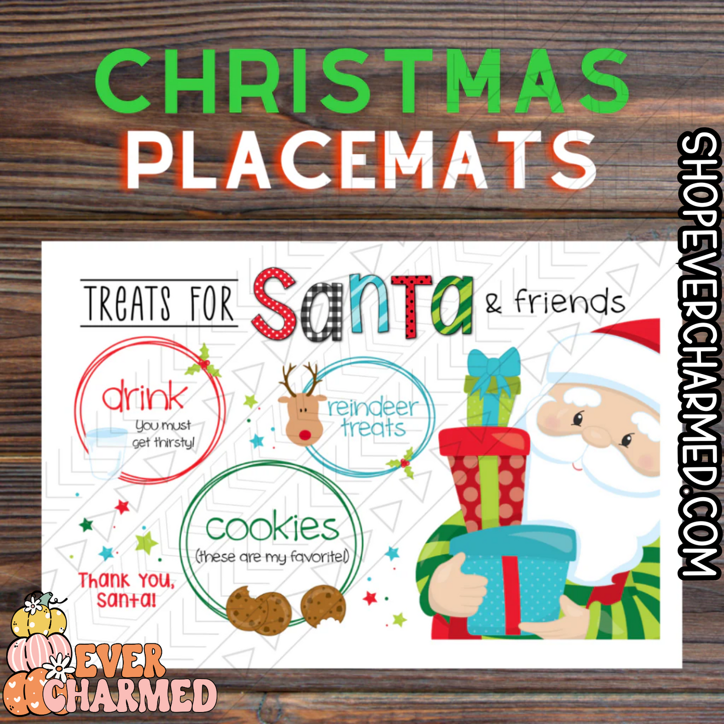 For Santa & Friends WASHABLE Placemat