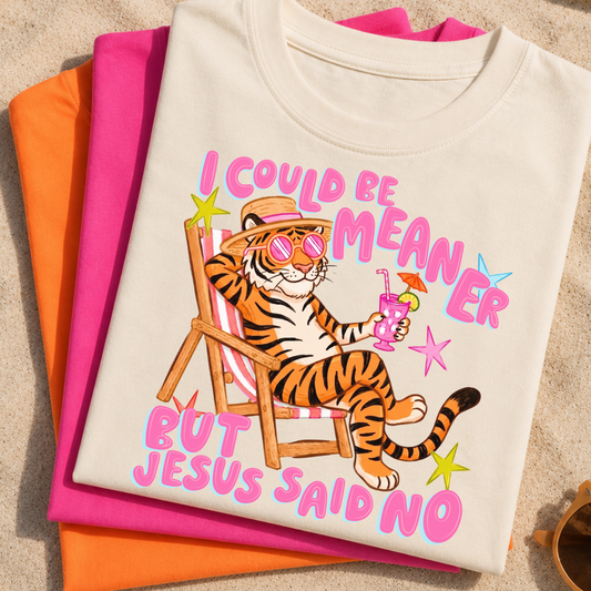 I Could Be Meaner But Jesus Said No