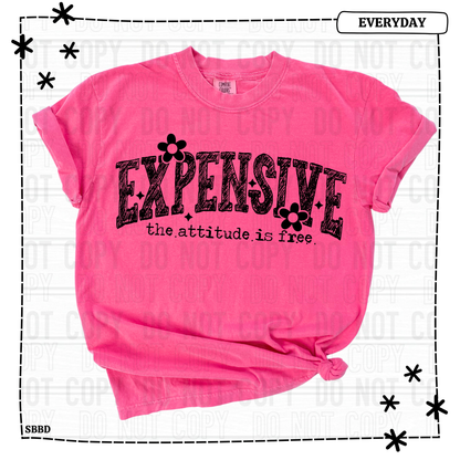 Expensive The Attitude is free