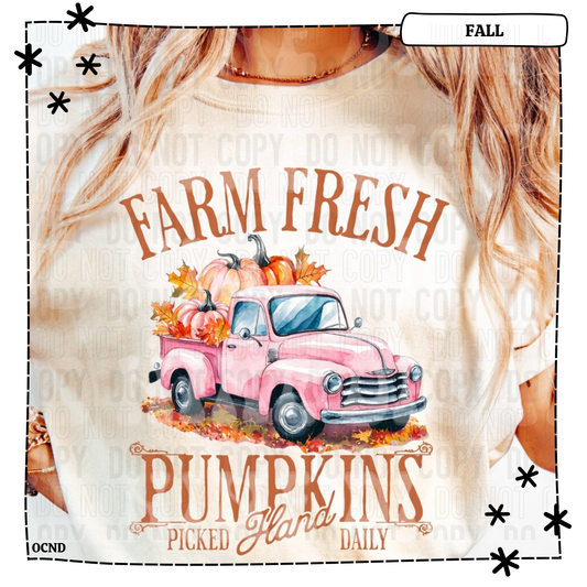 Farm Fresh Pumpkins Hand Picked Daily
